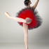 Ballett Tutu für Kind oder Erwachsene